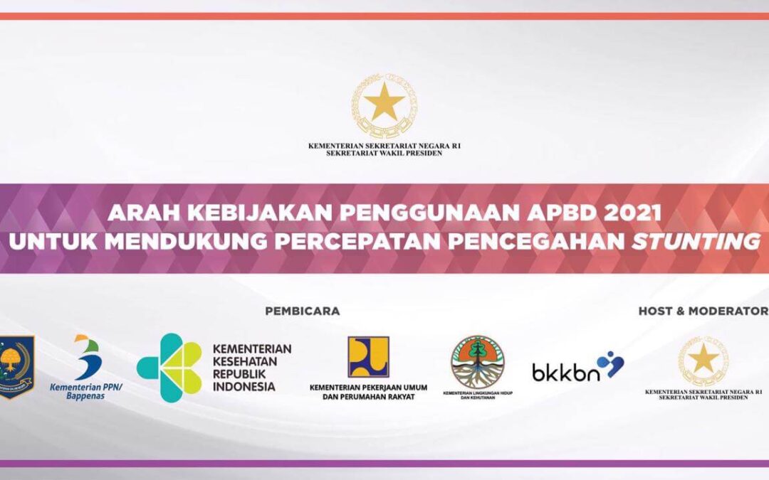 Sesi 2 – Webinar TP2AK Arah Kebijakan Penggunaan APBD 2021
